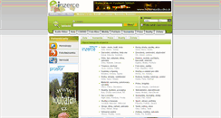 Desktop Screenshot of ex.cz